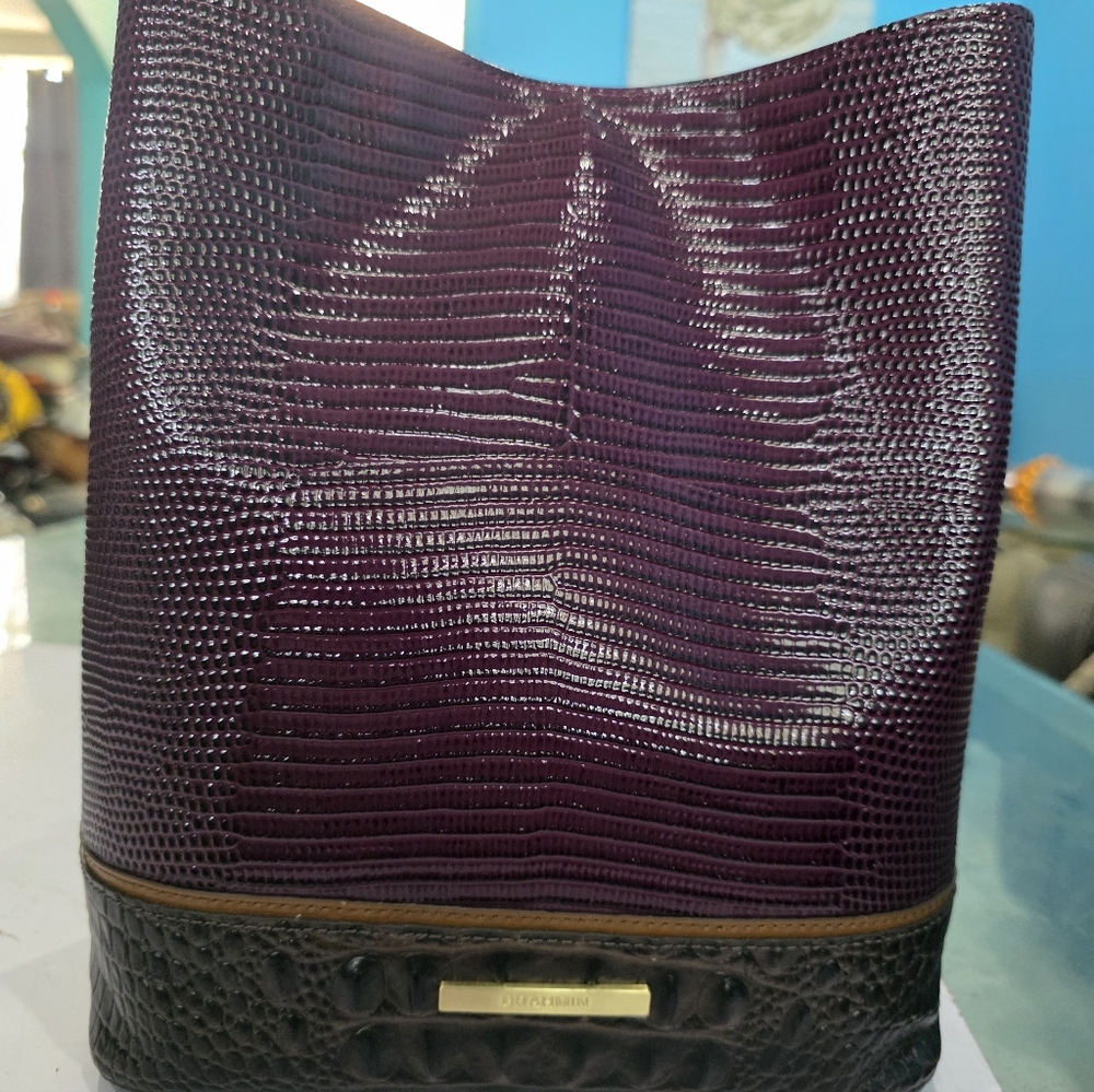 New Brahmin Amelia